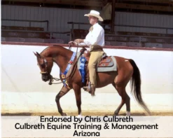 EquiCare LED Therapy® Red Light Back And Hip Pad -Sstack Sales Store 44129 prof b overlay