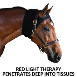 EquiCare LED Therapy® Red Light Calming Horse Bonnet -Sstack Sales Store 44163 feature b overlay