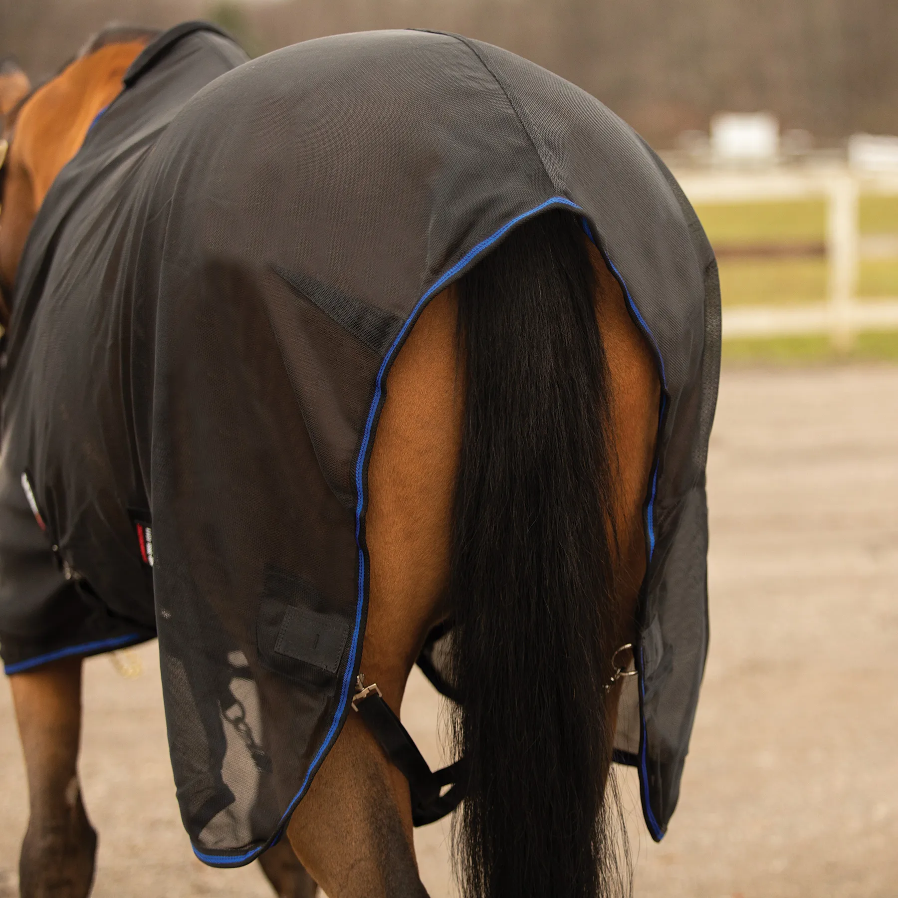 Lux Ceramic Therapy® Air Mesh Stable Sheet 6 Lux Ceramic Therapy® Air Mesh Stable Sheet - Image 6