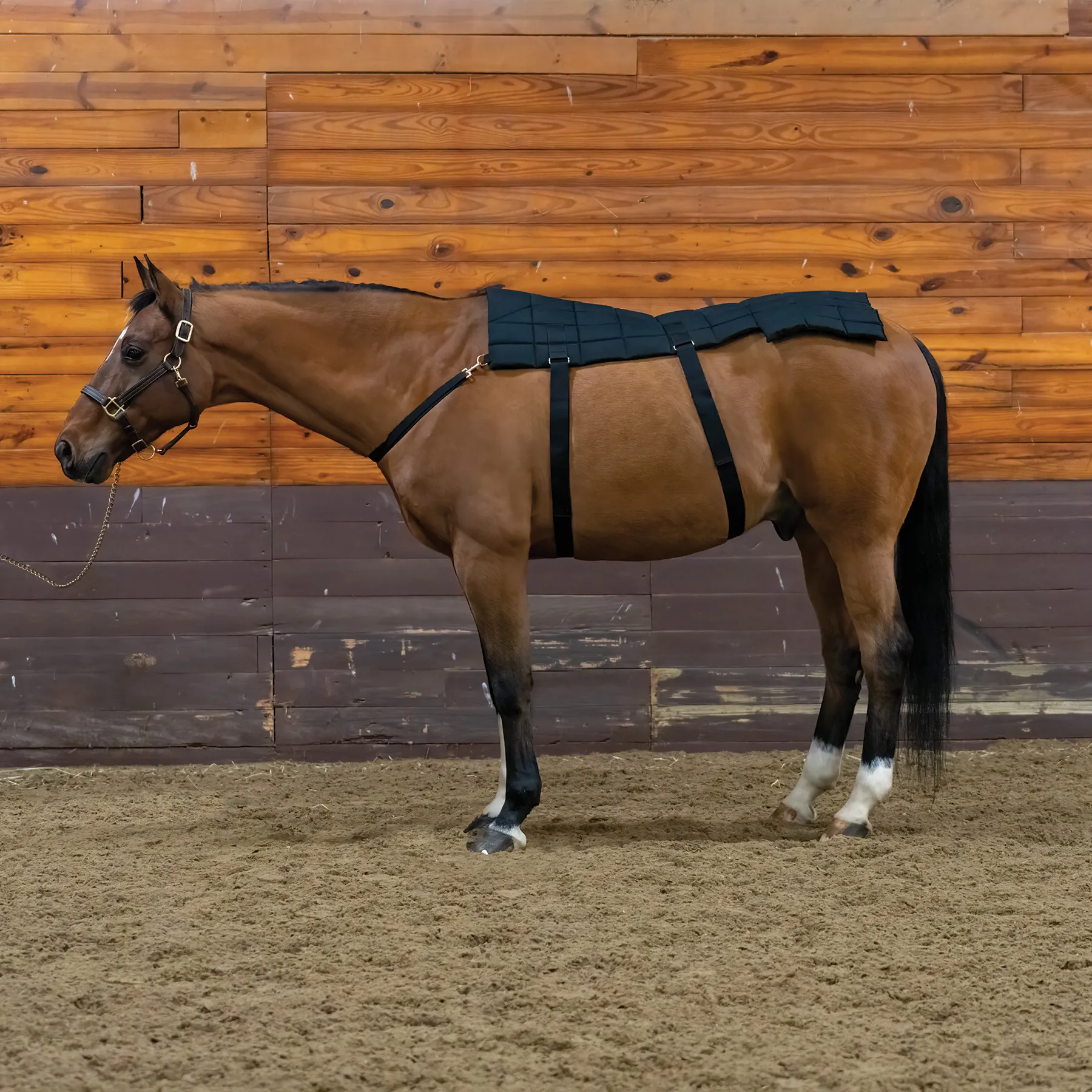 Dura-Tech® Horse Back And Hip Cooling Gel Pad 1 Dura-Tech® Horse Back And Hip Cooling Gel Pad