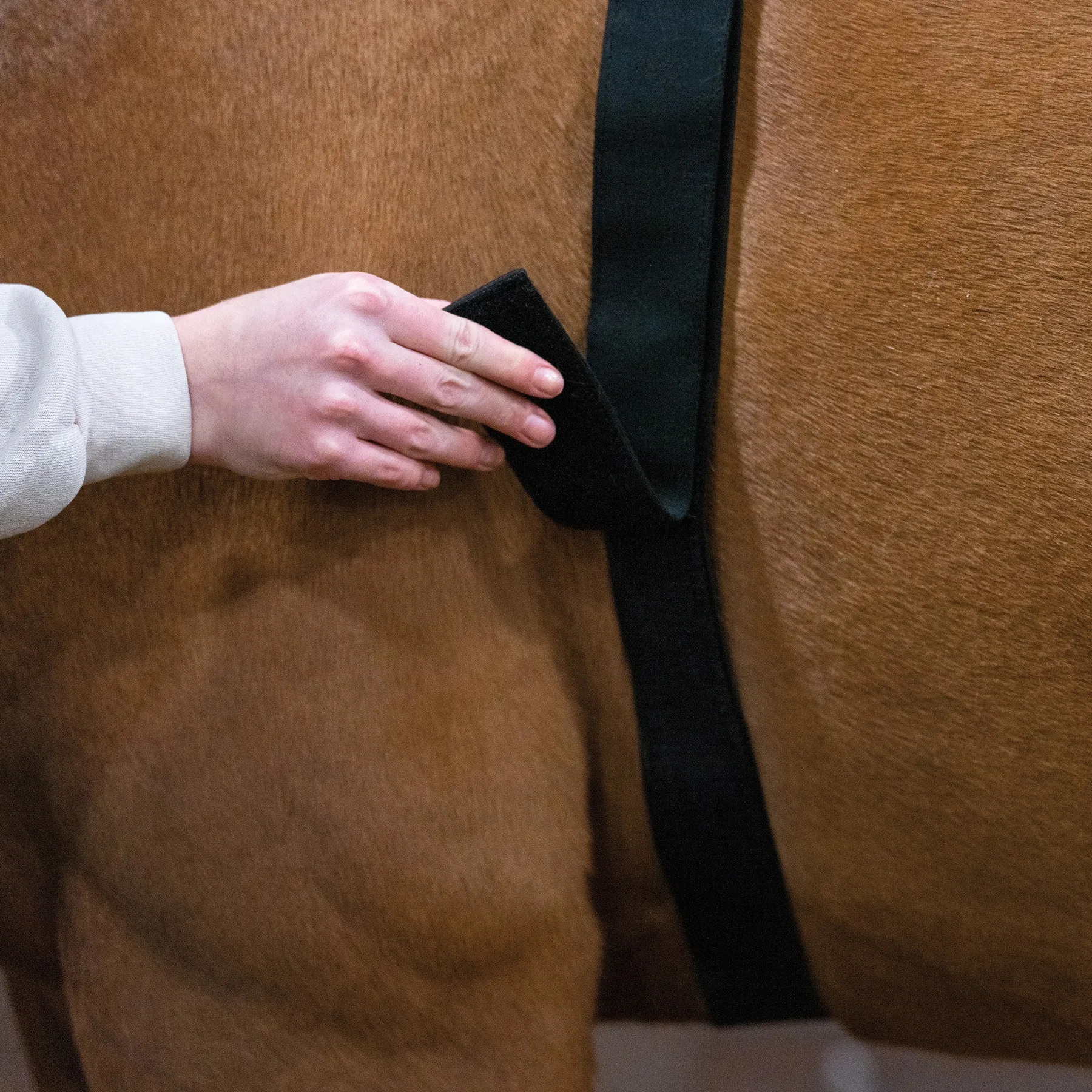 Dura-Tech® Horse Back And Hip Cooling Gel Pad 6 Dura-Tech® Horse Back And Hip Cooling Gel Pad - Image 6