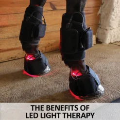 EquiCare LED Therapy® Red Light Wraps, Bell Boots, And Wand Kit -Sstack Sales Store 44586 feature d overlay