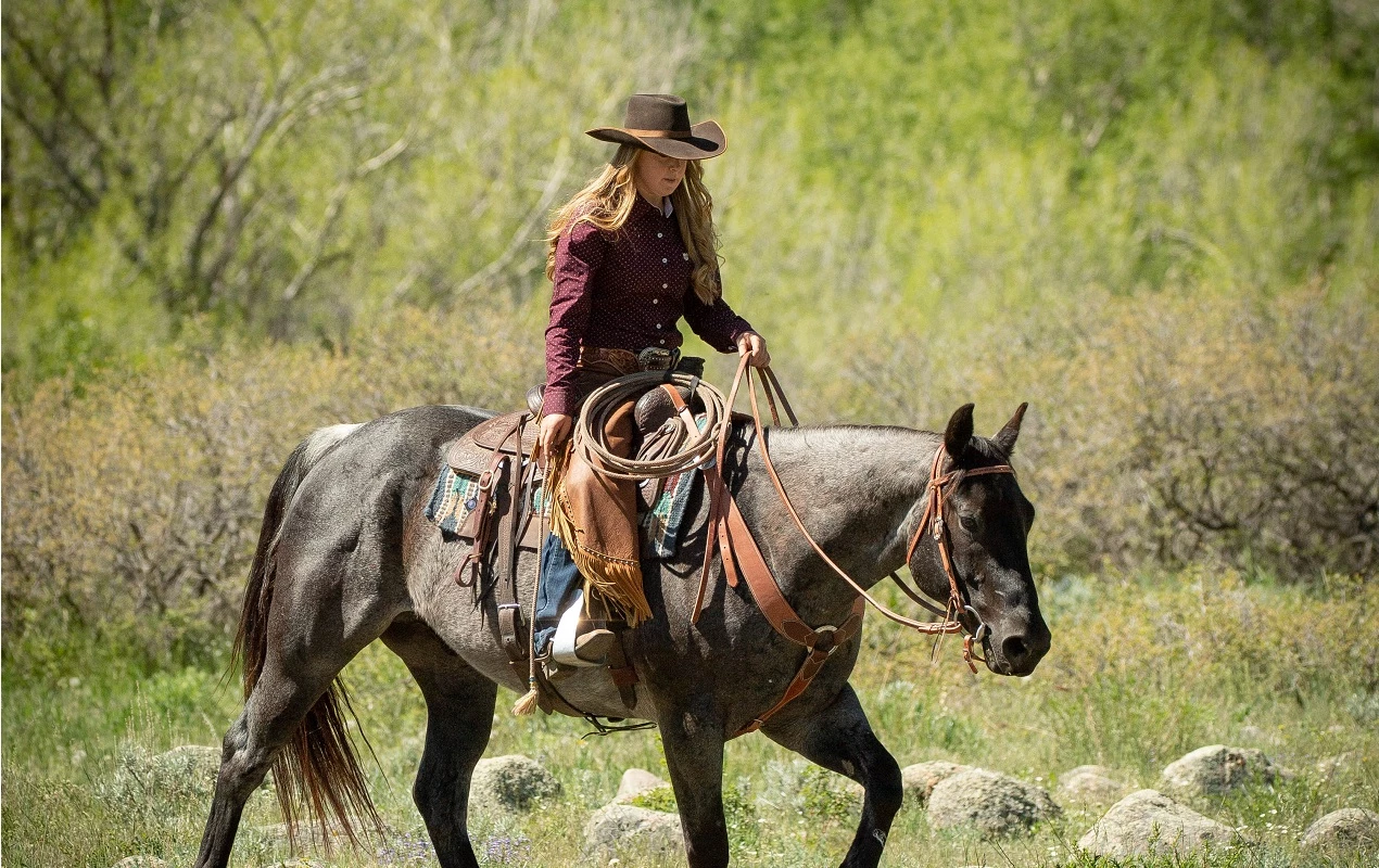 Sstack Sales Store -Sstack Sales Store 6343